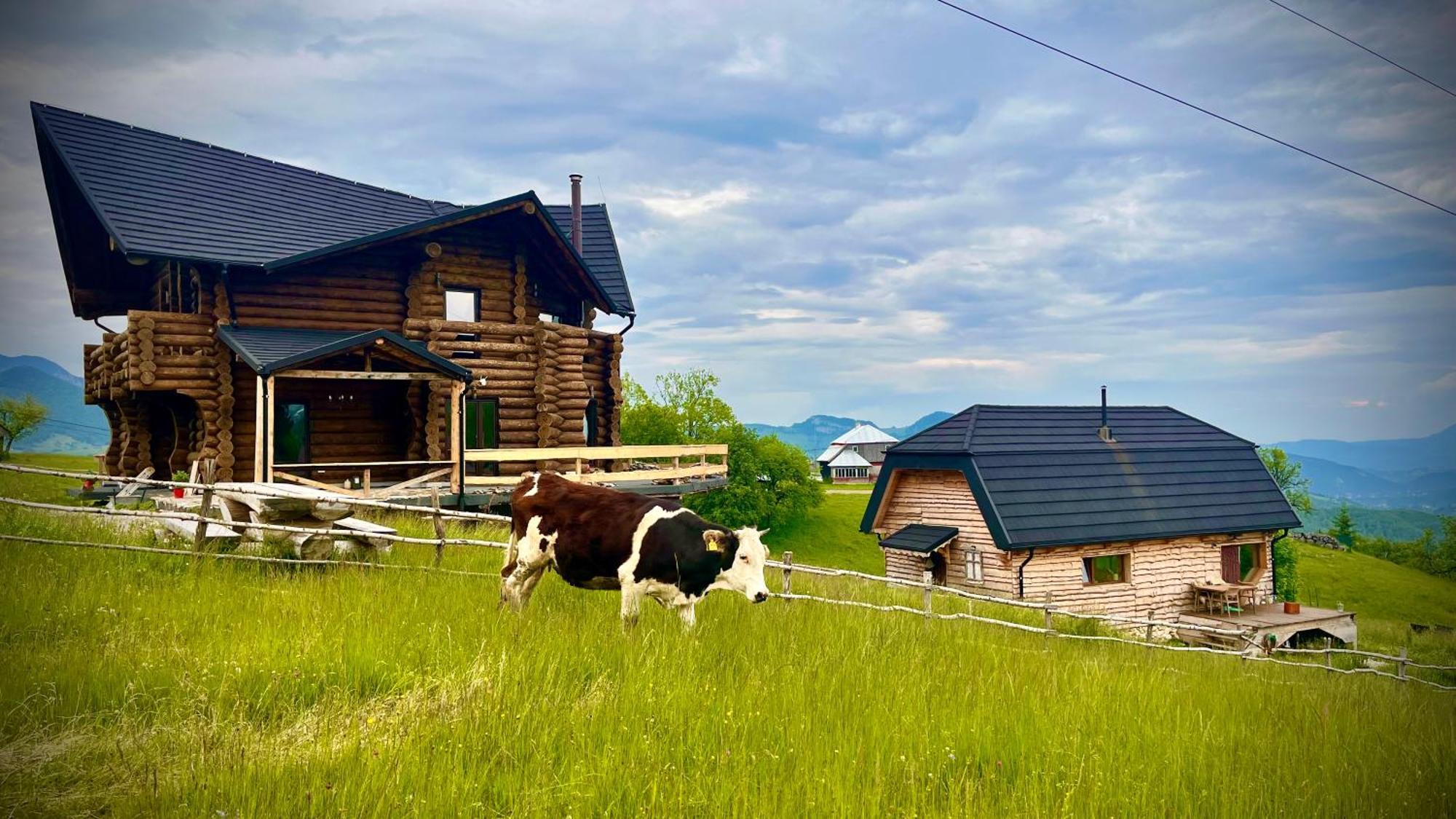 The Barn Villa Sirnea Exterior photo