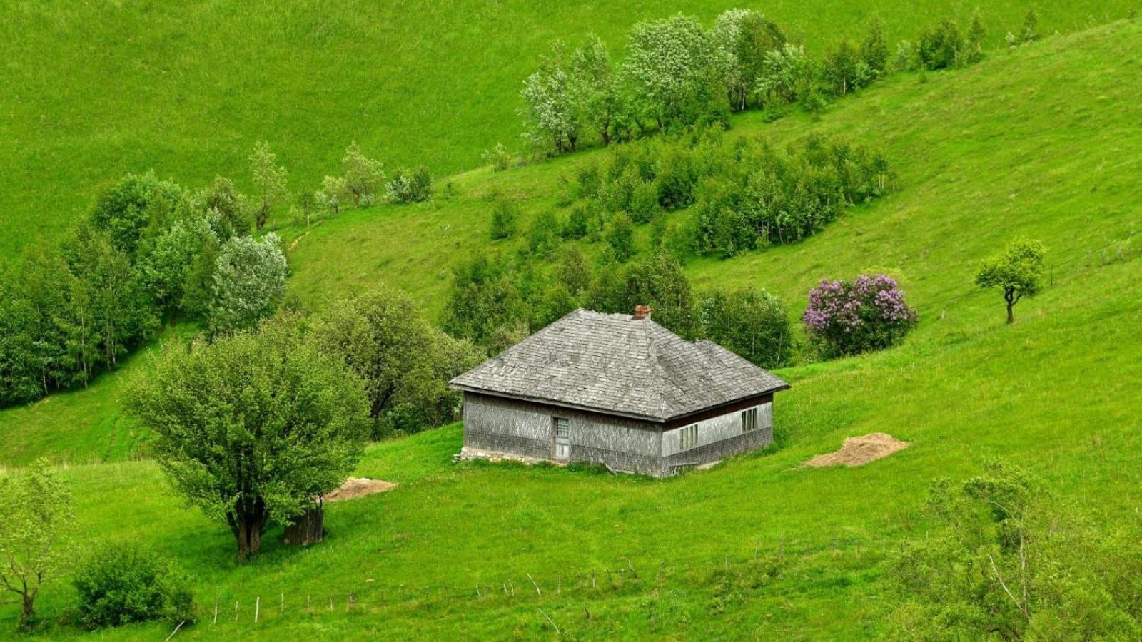The Barn Villa Sirnea Exterior photo