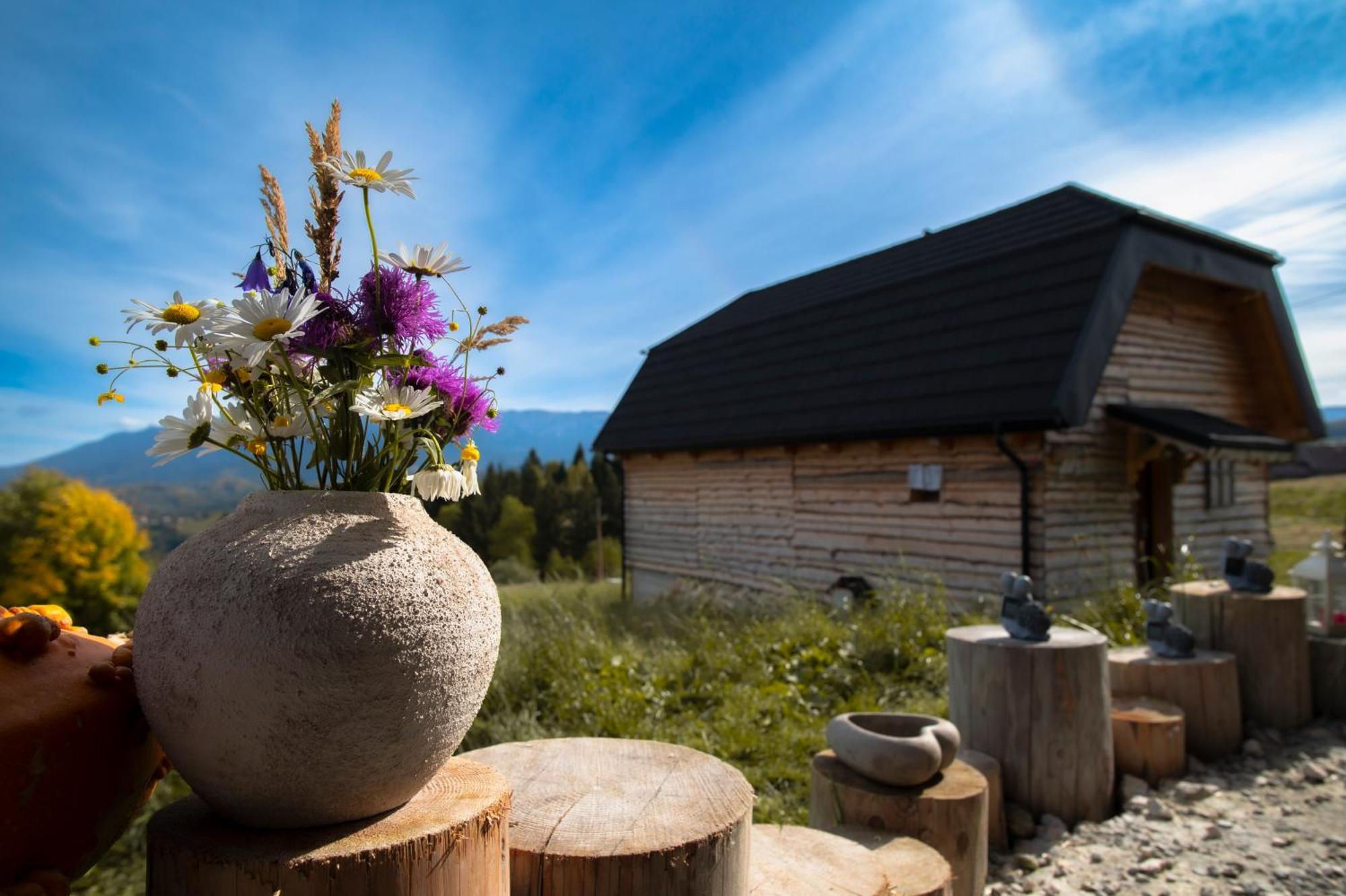 The Barn Villa Sirnea Exterior photo