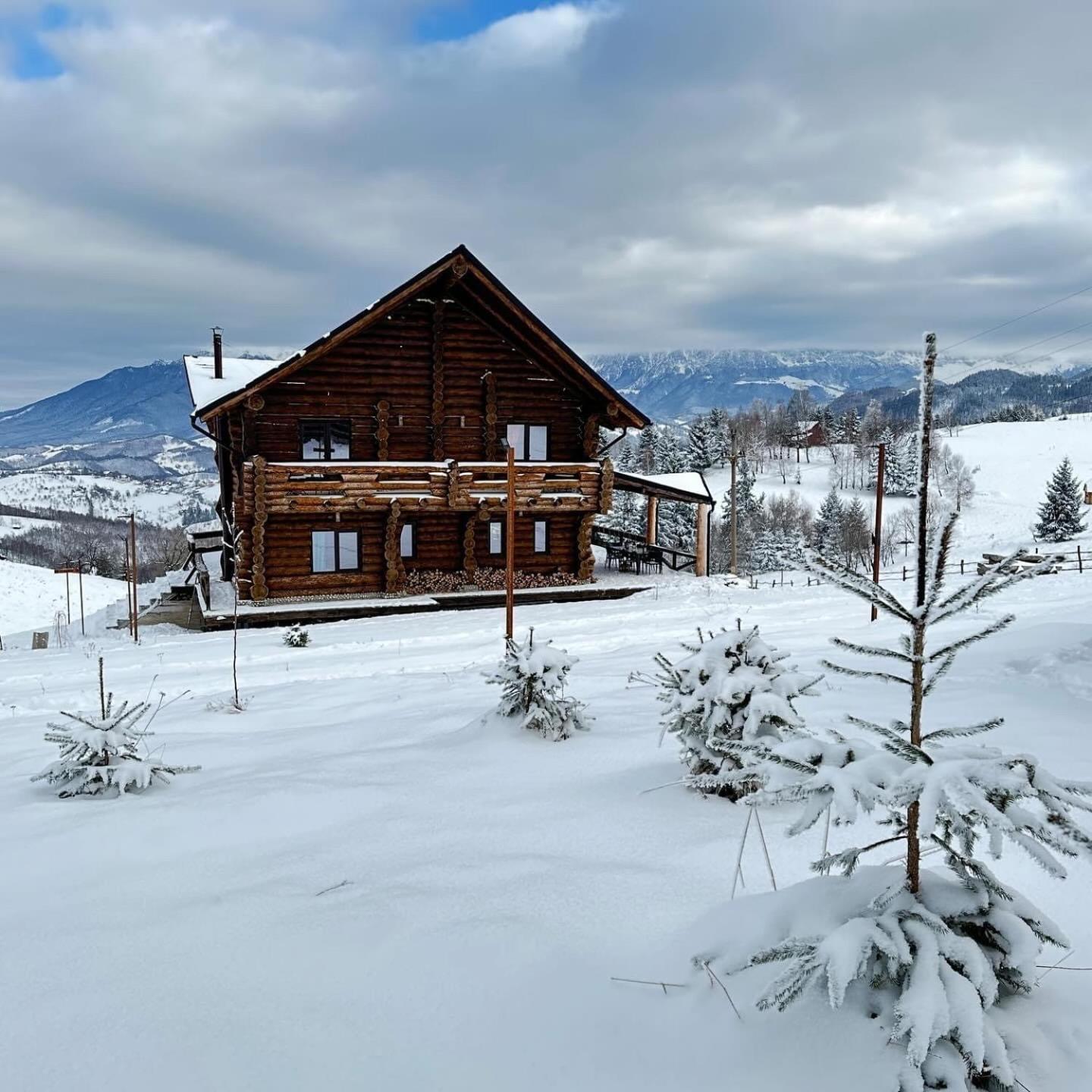 The Barn Villa Sirnea Exterior photo