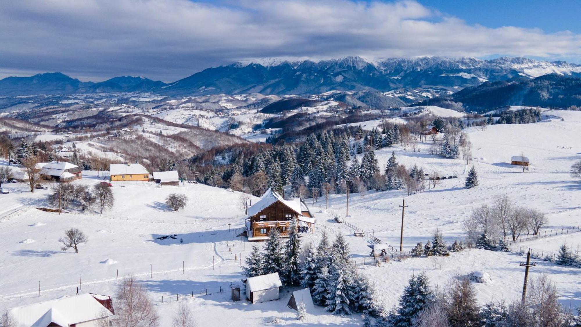 The Barn Villa Sirnea Exterior photo